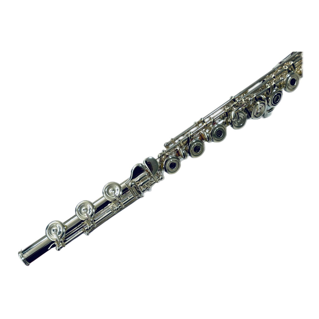 FL4817HE (1)-Sala de fotos