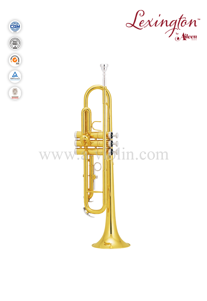 Trompeta Popular (TP8190)