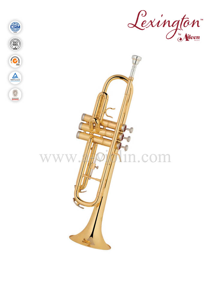 Trompeta profesional estándar Bb con estuche premium (TP8190G)