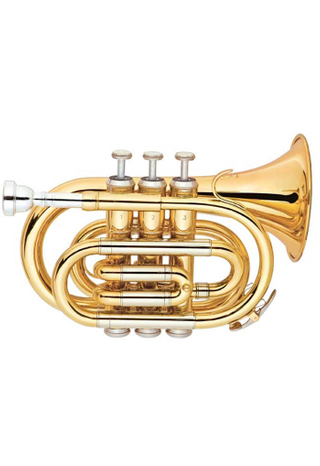 Grado de entrada de trompeta de mano de estudiante clave bB (HTP-M400G-SYY)