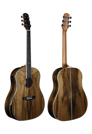 Guitarra acústica de 41 pulgadas con material exótico en forma de D con hombro inclinado (WAG901E-SD)