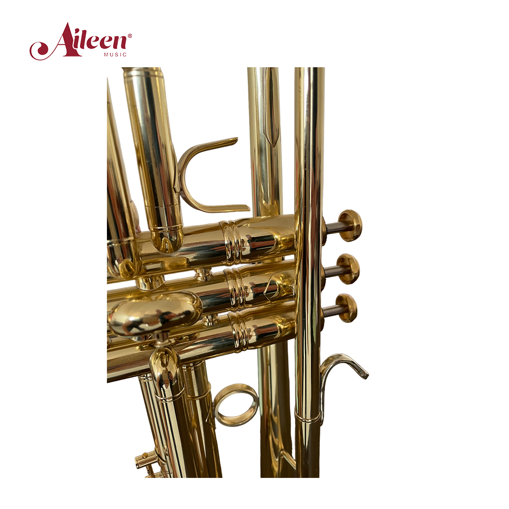 Campana de trompeta bB DIA 123 mm Diseño de campana especial (TP-G8005G)