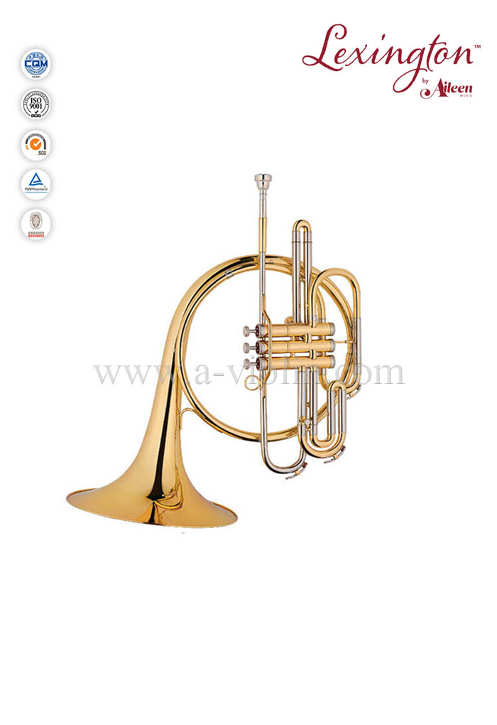 Válvulas de pistón Instrumento de música de trompa (FH7036P-G)