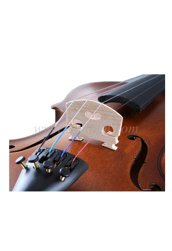 4/4 violín de estudiante principiante de tamaño completo (VG001-HPM)