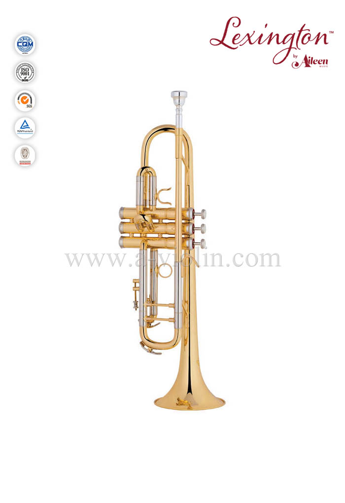 Trompeta profesional estilo BH con estuche premium (TP8390G)
