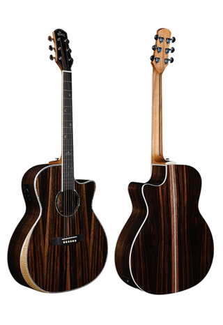 Guitarra acústica Winzz GA con corte en forma de material exótico de 41 pulgadas (WAG902CE-GA)