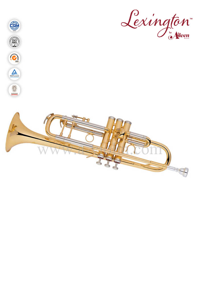 Trompeta profesional estilo BH con estuche premium (TP8390G)