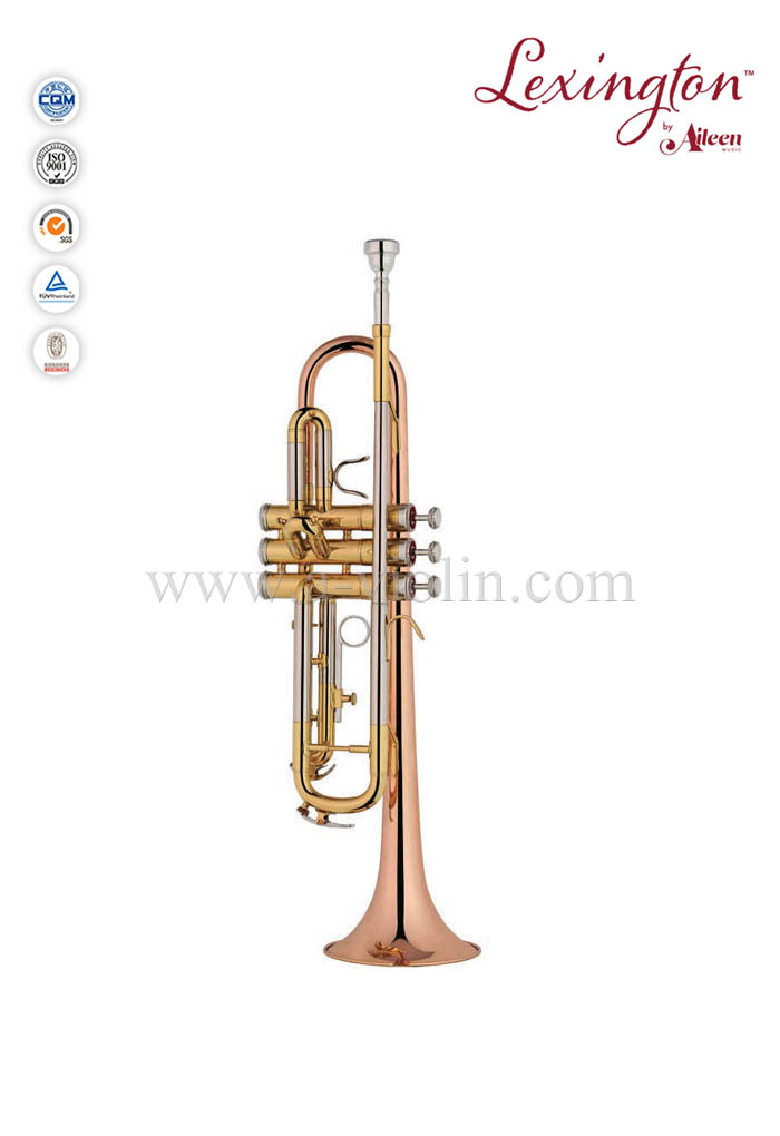 Trompeta profesional Bb Upgrade con estuche Premium (TP8012)
