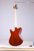WGT EX80-AT Winzz Exotic Collection Agatis Cuerpo Chapa de teca Guitarra eléctrica superior Fabricada en Indonesia