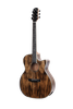 WAG901CE Winzz Exotic Material 41'' Guitarra acústica con forma GA 