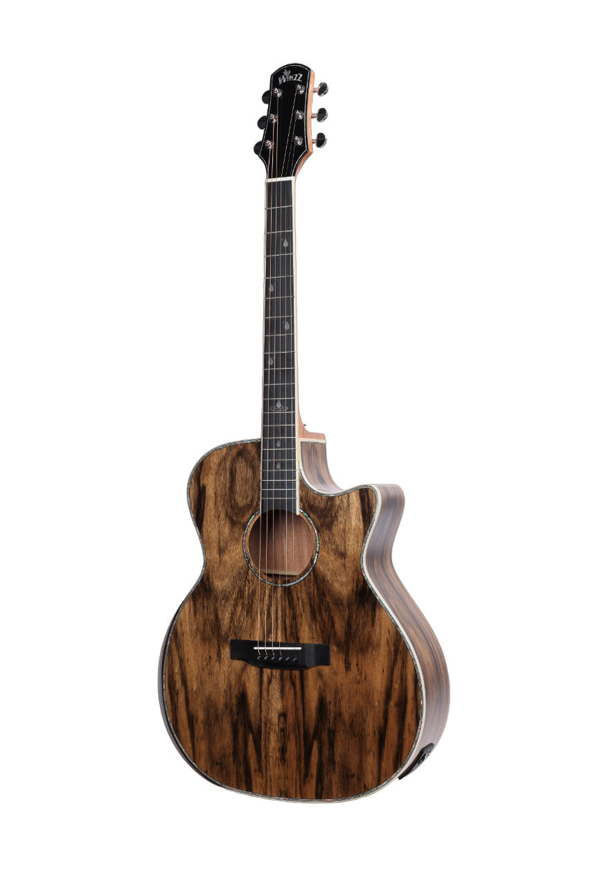 WAG901CE Winzz Exotic Material 41'' Guitarra acústica con forma GA 