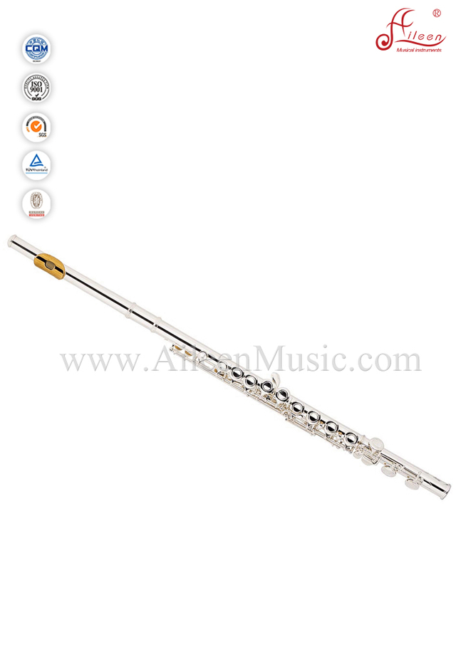 Llave C 16 agujeros flauta plateada (FL4111S-Y)