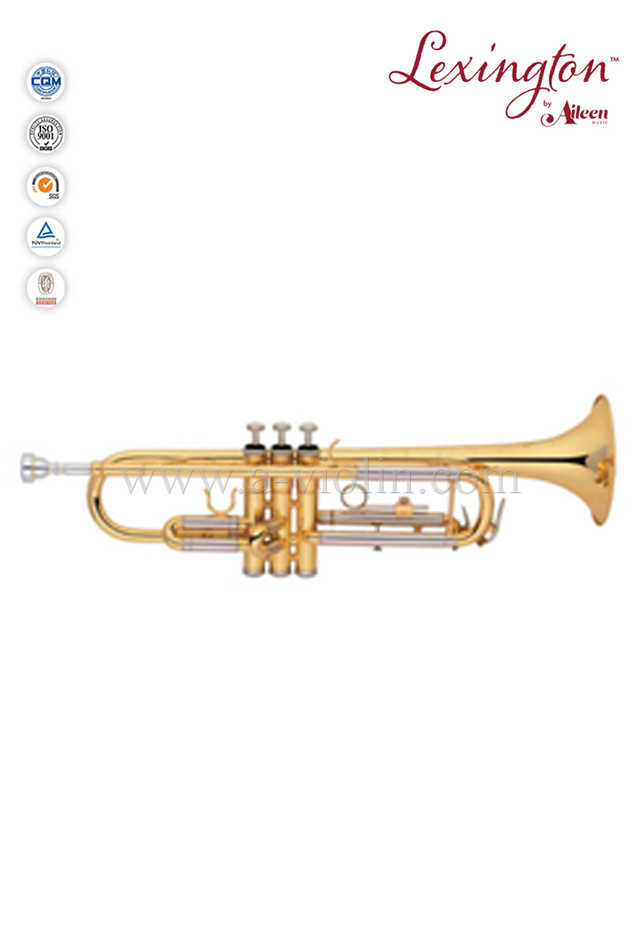 Estudiante avanzado estilo Trumpet-Y con Monel Piston (TP8590G)