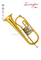 Clave Bb Latón amarillo Piston Lacquer jinbao flugelhorn (FG1000G)