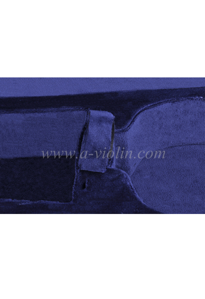 Nuevo estuche de violín de luz triangular de espuma de lujo (CSV012B1)