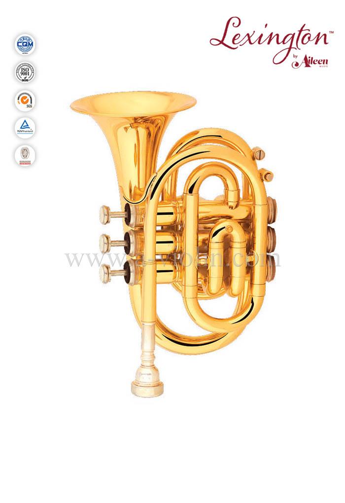 Trompeta de pistón de acero inoxidable con bolsillo de latón Bb (HTP8503G)