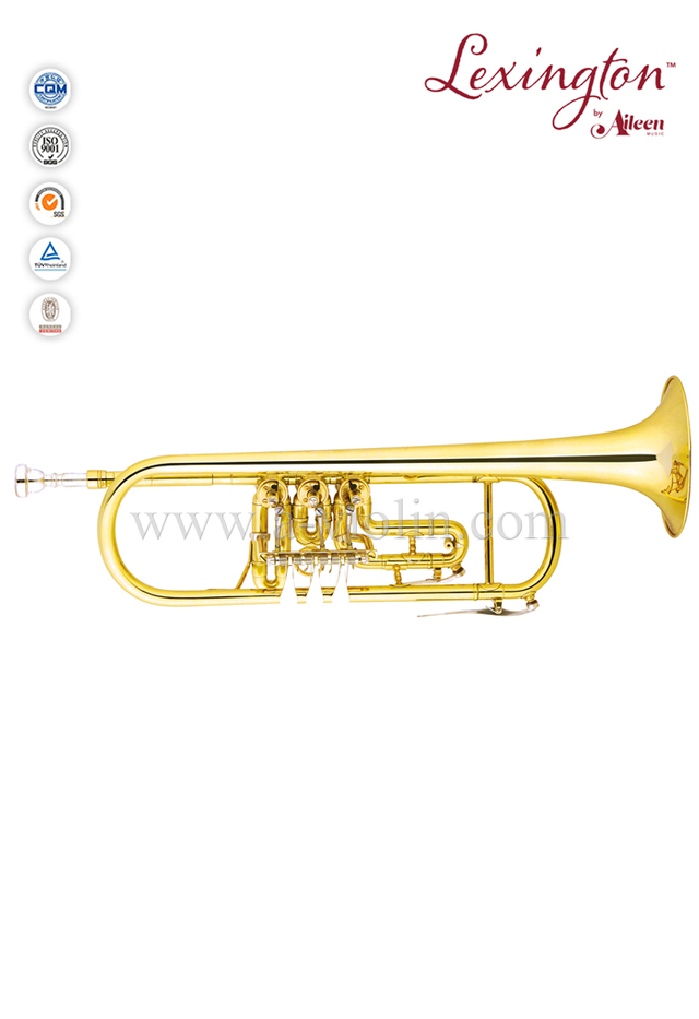 Trompeta profesional de válvula rotativa estándar con estuche premium (TP8807G)