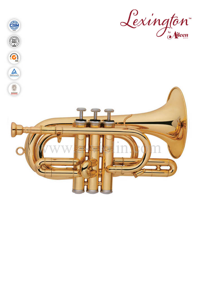 Corneta Intermedia lacada en oro-estilo español (CN8713G)