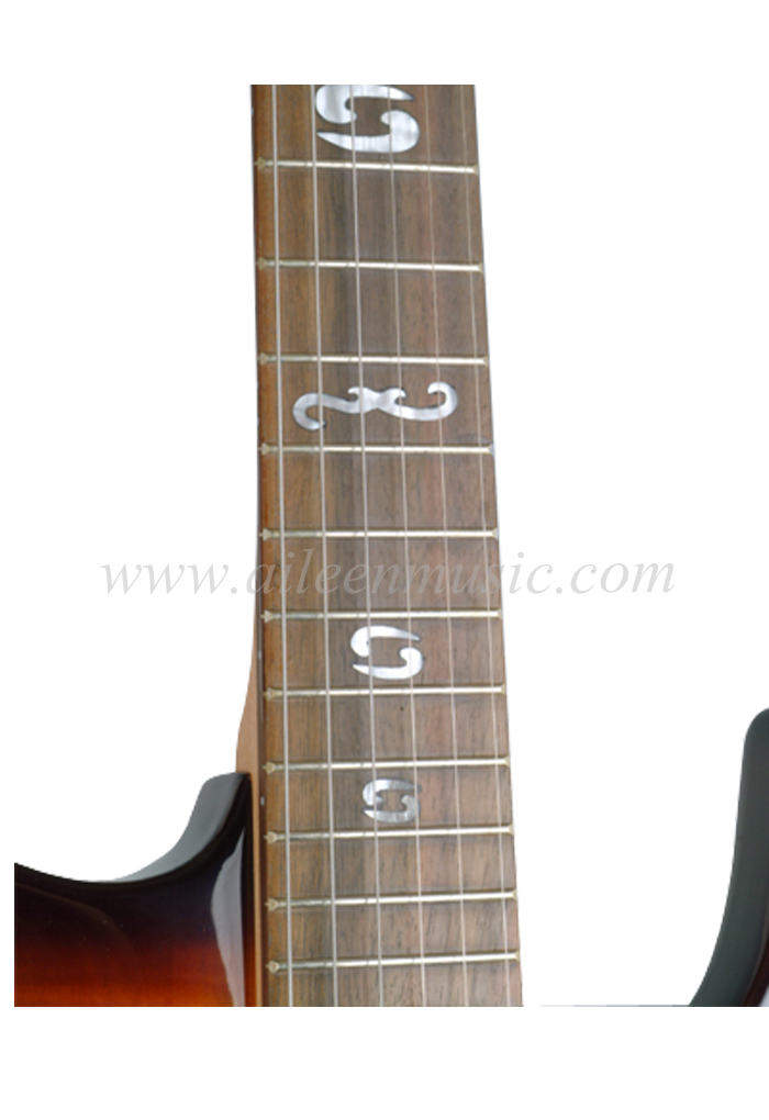 FR Style Tremolo Guitarra eléctrica a medida (EGH230)