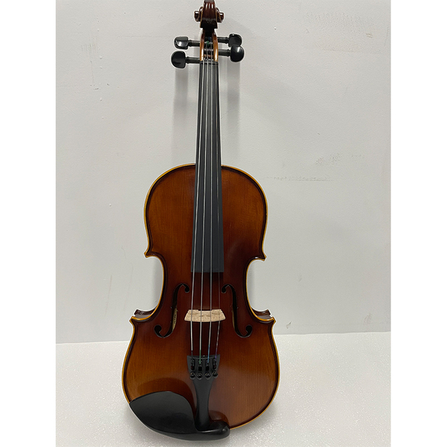 Violín de arce flameado con estuche, traje de violín de grado medio (VM110H)