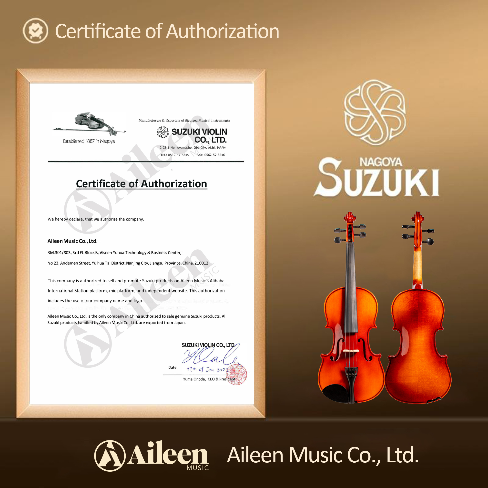 SV-10AL Violín de estudiante de violín Suzuki 4/4-1/4 de buena calidad más vendido