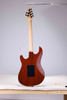 WGS EX80-AA Winzz Exotic Collection Agatis Body Amara Venee Guitarra eléctrica superior fabricada en Indonesia
