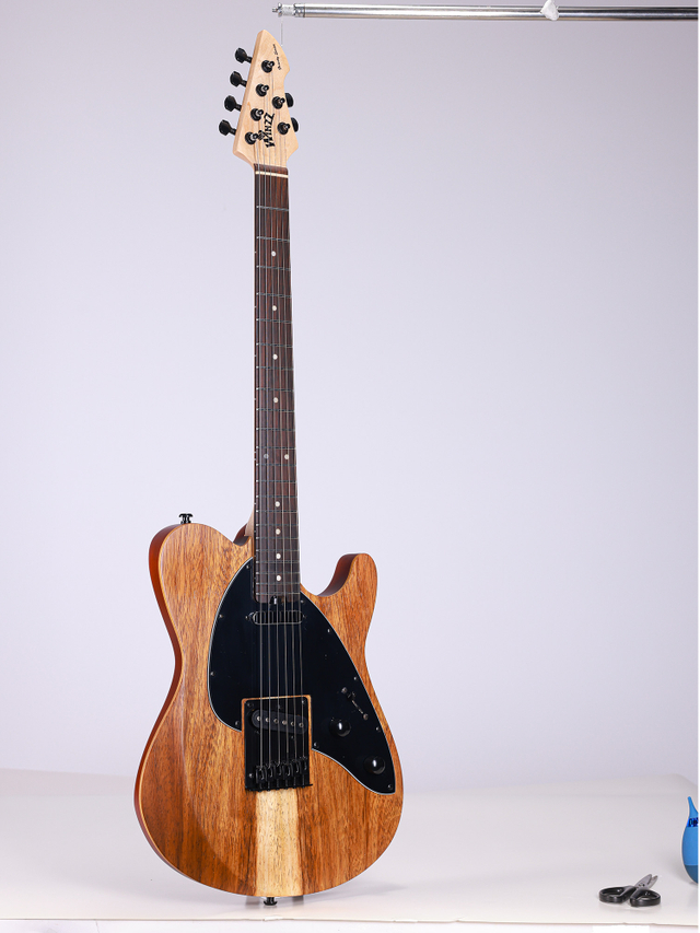 WGT EX80-AT Winzz Exotic Collection Agatis Cuerpo Chapa de teca Guitarra eléctrica superior Fabricada en Indonesia
