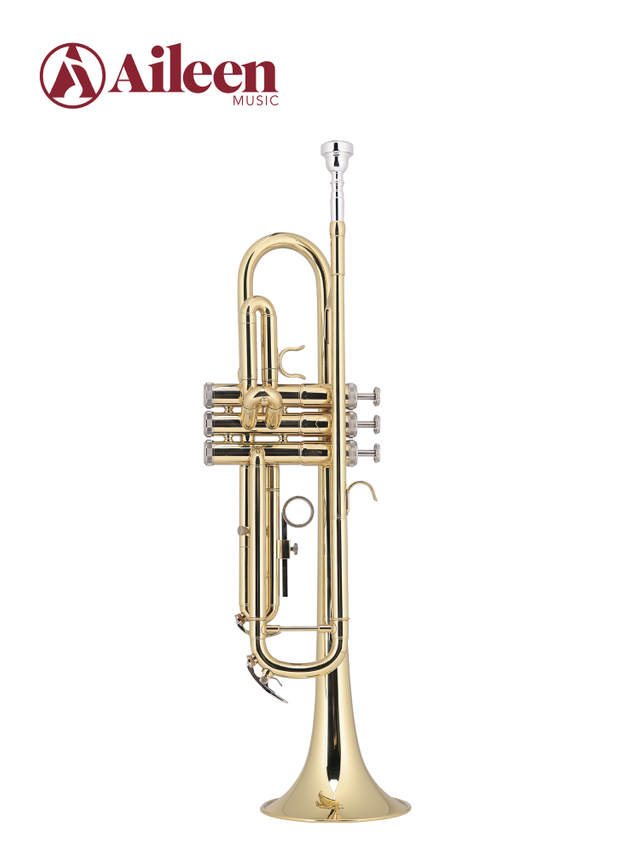 TP8030G Nuevo oro lacado en lacado cuerpo de latón trompeta de grado medio