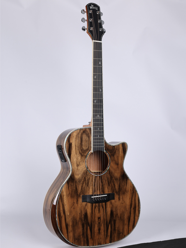 WAG901CE Winzz Exotic Material 41'' Guitarra acústica con forma GA 