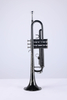 TP8001NB Instrumentos de viento de buena calidad Entrada de grado BB Key Trompeta