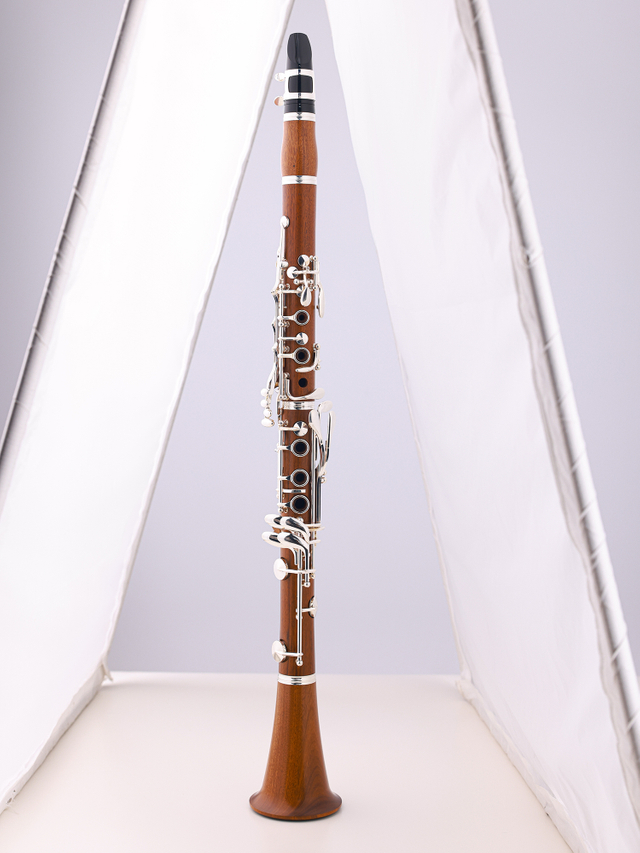 CL5000 Clarinete con cuerpo de palisandro de 17 teclas de alto grado con estuche premium