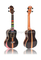 21 "/ 23" / 26 "Dalbergia plywood Ukulele (AU85L-BA)