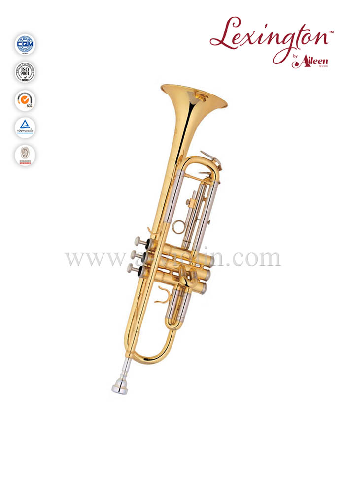 Trompeta de grado general de latón lacado estilo Y (TP8391G)