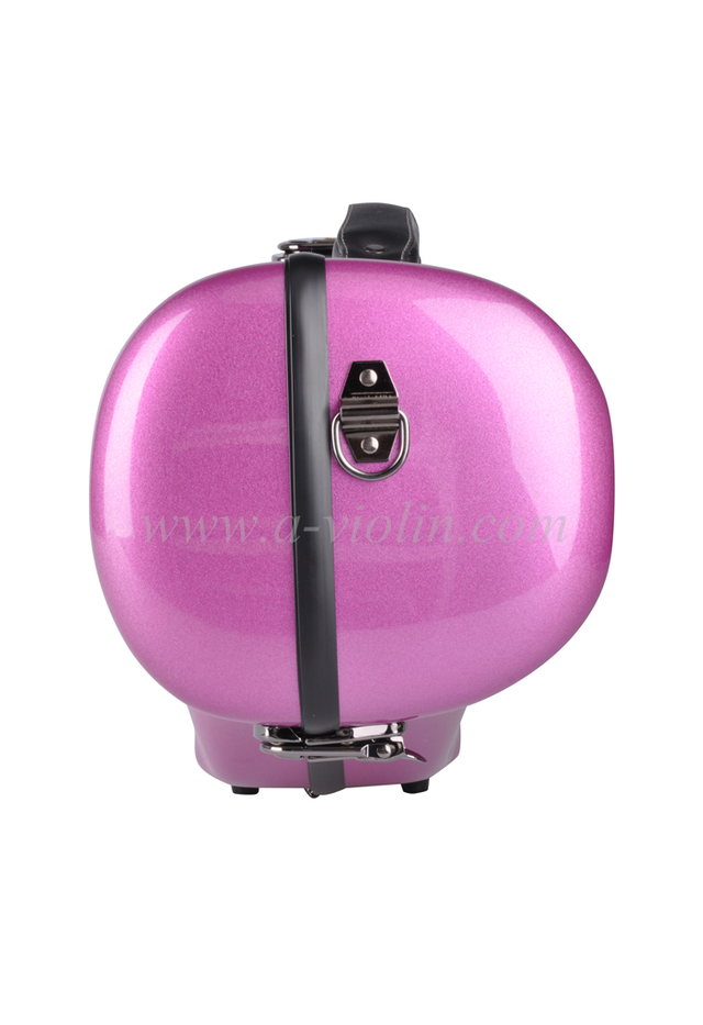 Caja de fibra de vidrio para trompeta (CSTP-F100)