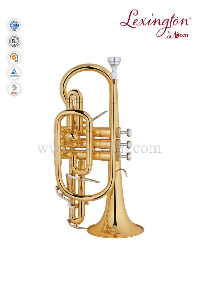 Estilo Cornet-BS intermedio con llave de agua de 2 piezas (CN8712G)