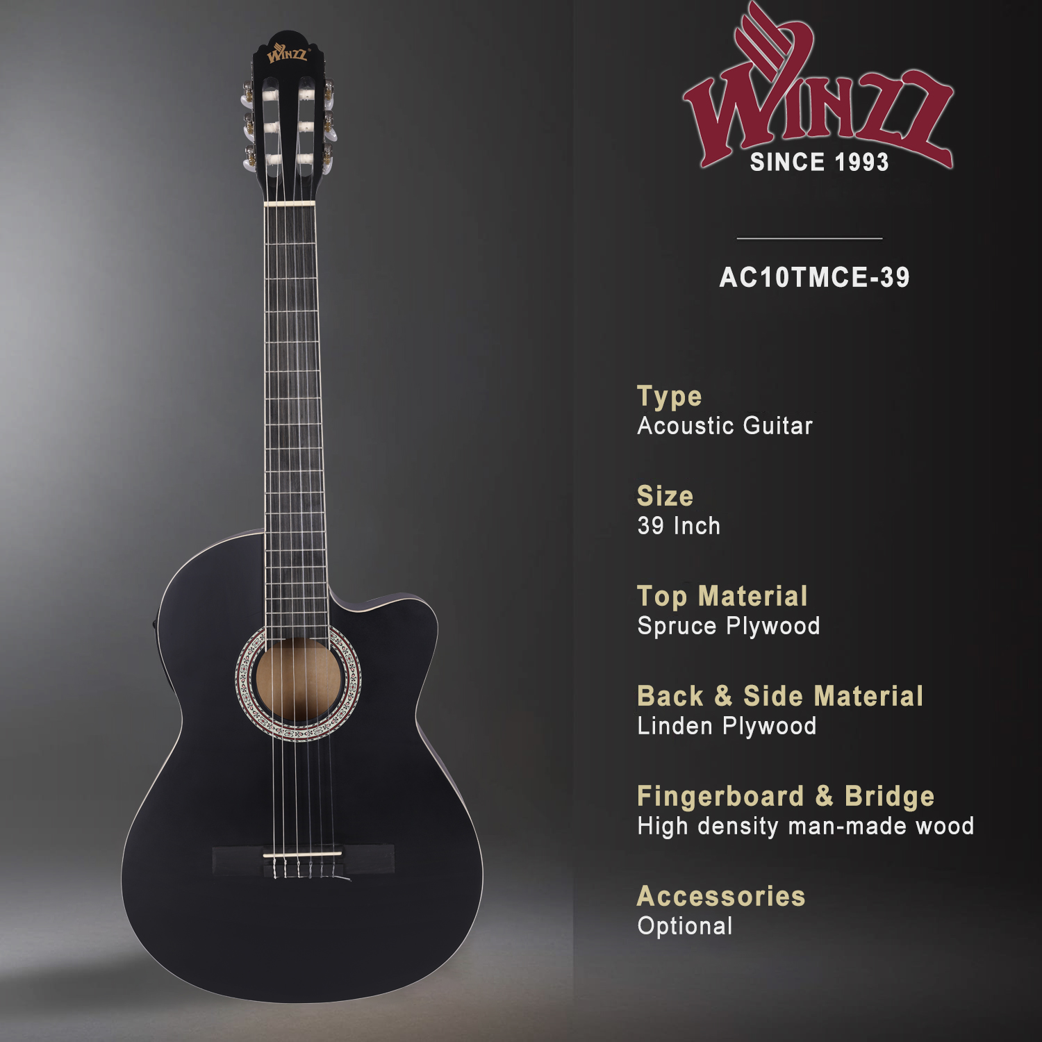 Guitarra eléctrica clásica de cuerpo delgado, instrumentos musicales de 39 pulgadas (AC10TMCE-39)