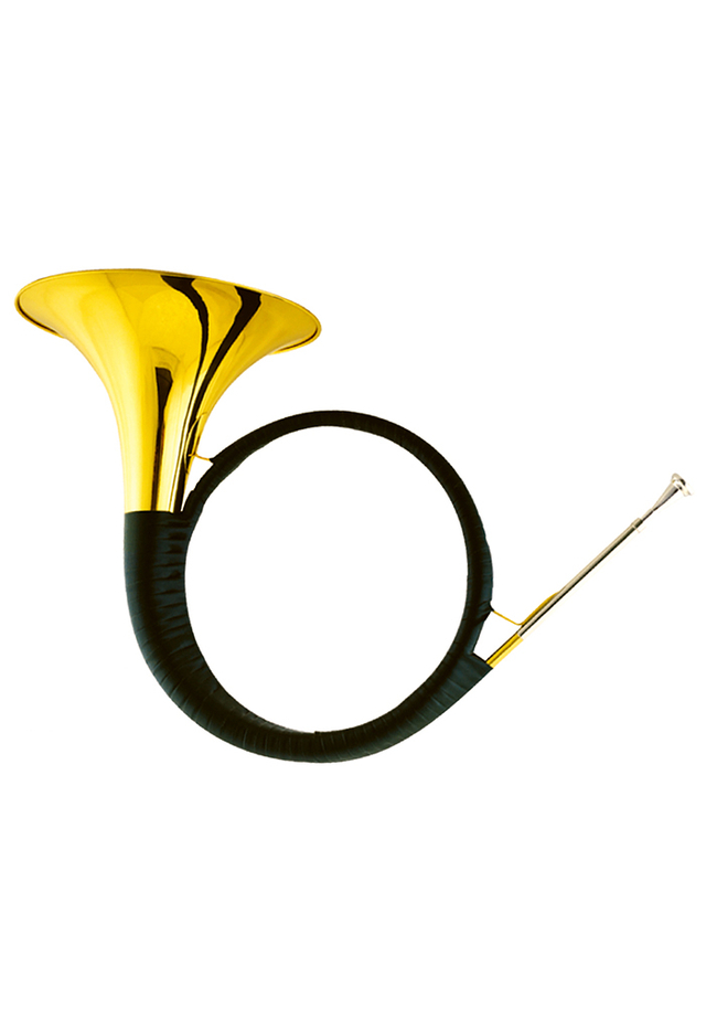 Cuerno de caza de grado general con estuche y kit de limpieza (HTH-G380G)