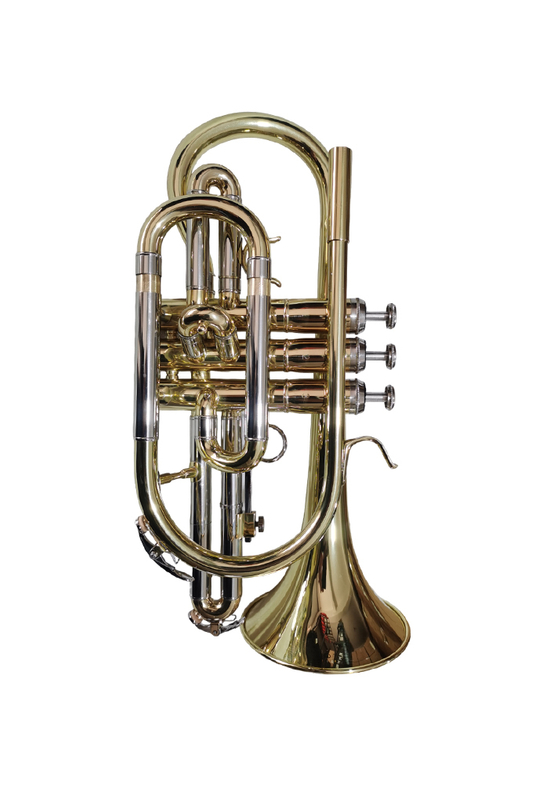 CN-G400G Pistón de acero inoxidable profesional BB Cornet Entry Grade