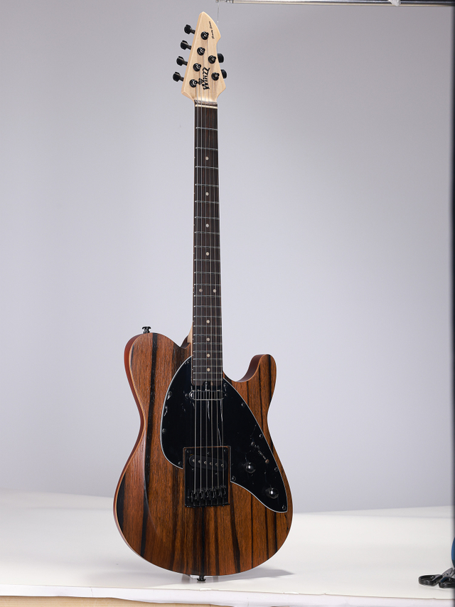 WGT EX80-AA Winzz Exotic Collection Agatis Body Chapa de Amara Guitarra eléctrica superior Fabricada en Indonesia