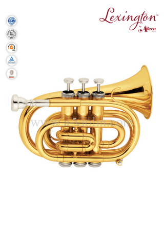 bB Latón Lacado Pocket Trumpet-2pcs Waterkey(HTP8504G)