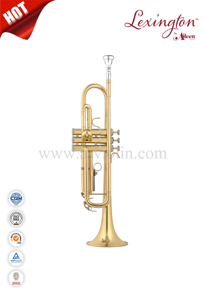 Trompeta de estudiante con cuerpo de latón lacado dorado H65H llave Bb (TP8001G)