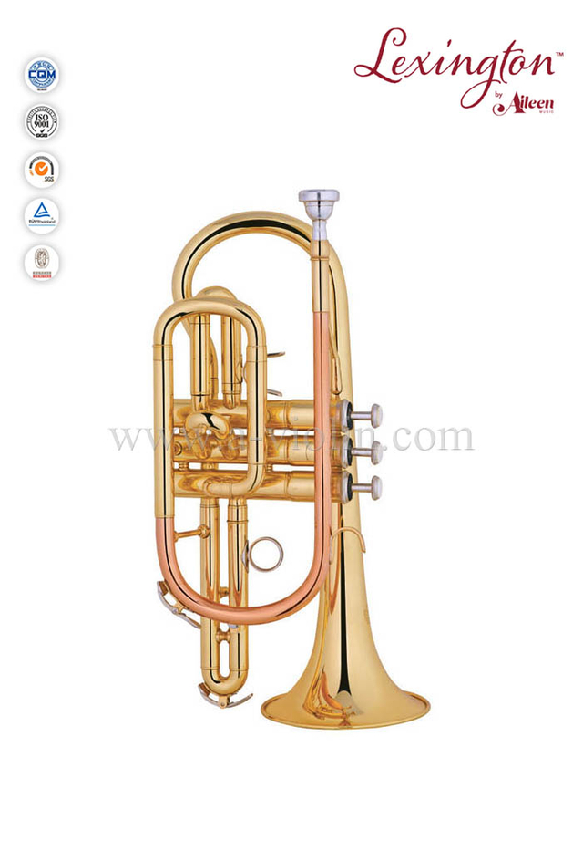 bB Estilo Y Corneta lacada de latón - Grado general (CN8711G)