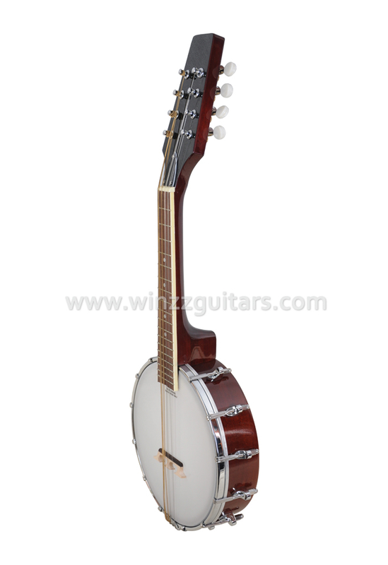 REMO Cabeza Mandolina Banjo (AB-12M)