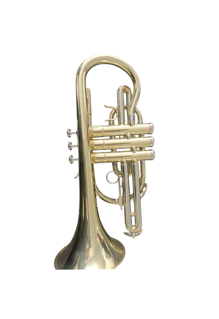 CN-G400G Pistón de acero inoxidable profesional BB Cornet Entry Grade
