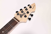 WGT EX80-AT Winzz Exotic Collection Agatis Cuerpo Chapa de teca Guitarra eléctrica superior Fabricada en Indonesia