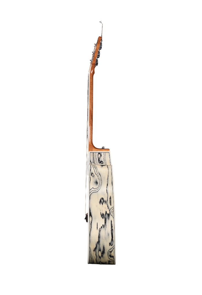WAG905CE Nuevo instrumento musical 41 'Winzz Material exótico Guitarra acústica 