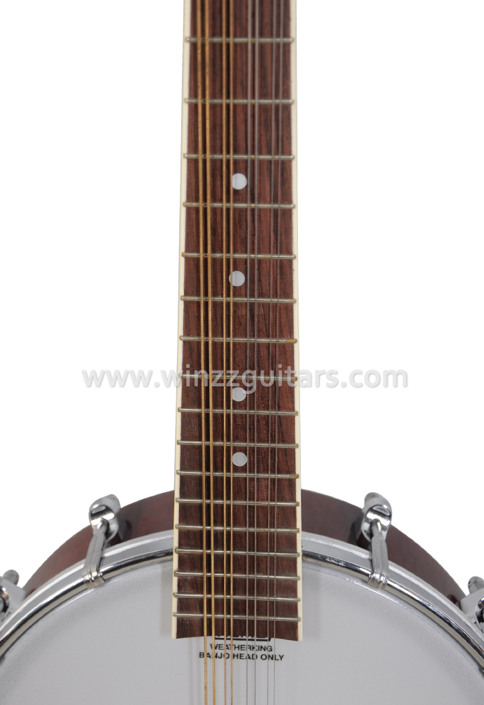 REMO Cabeza Mandolina Banjo (AB-12M)