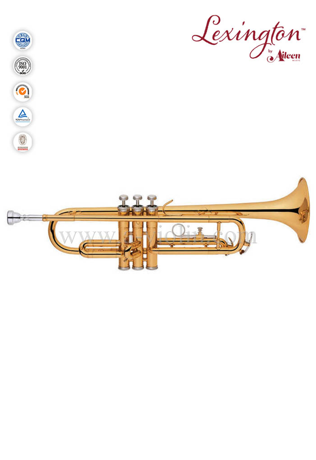 Llave Sib Trompeta Latón Lacado Con Estuche Premium (TP8011G)