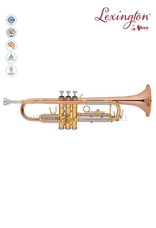 Diapositivas de plata de níquel y trompeta avanzada de estilo Y (TP8391G-SRY)