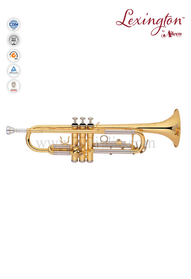 Trompeta de grado general de latón lacado estilo Y (TP8391G)